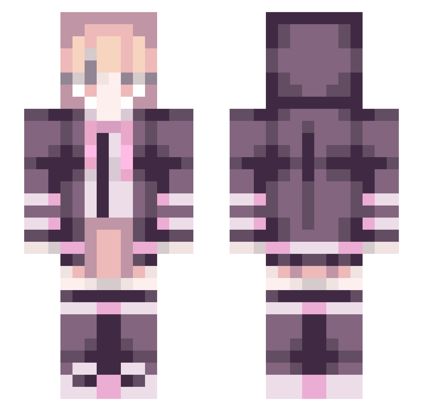 Topologist Minecraft skin, front and back view