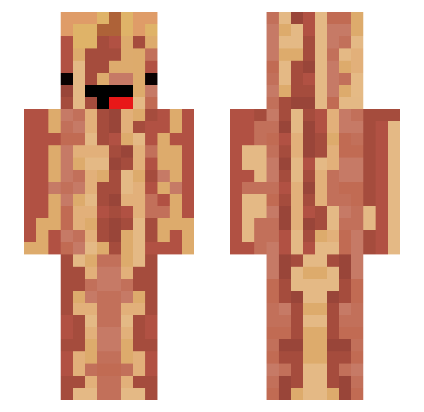 HeisseTomate Minecraft skin, front and back view