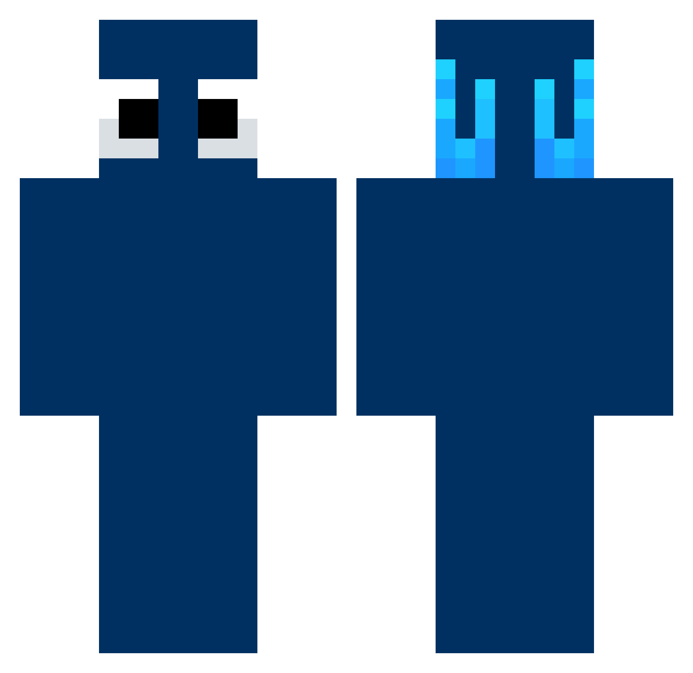 _distro Minecraft skin, front and back view