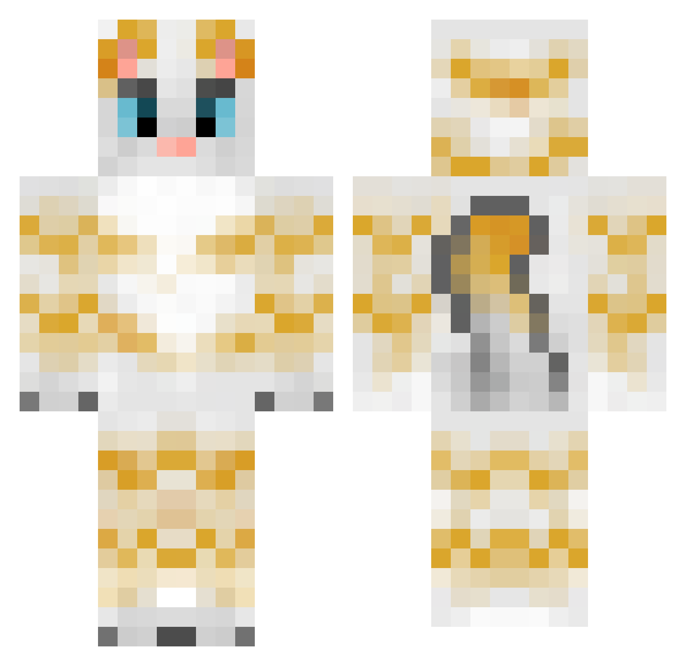 Pausic Minecraft skin, front and back view