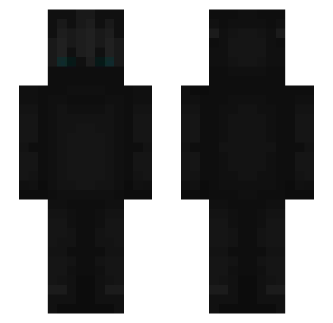 zPlaying Minecraft skin, front and back view