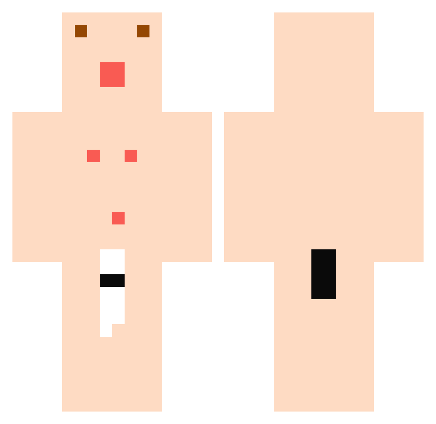Rhymenocerous95 Minecraft skin, front and back view