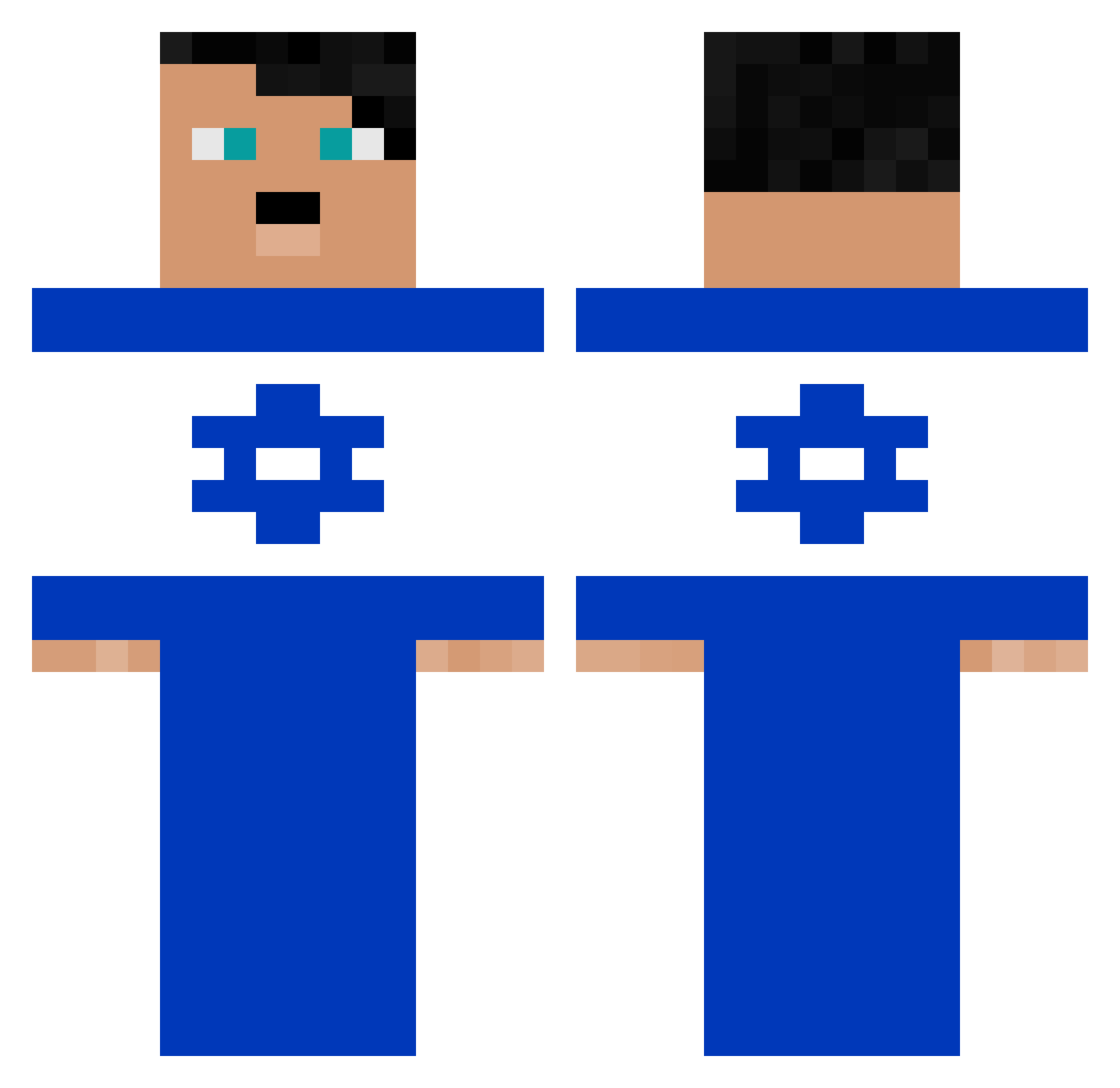 Pcois13 Minecraft skin, front and back view
