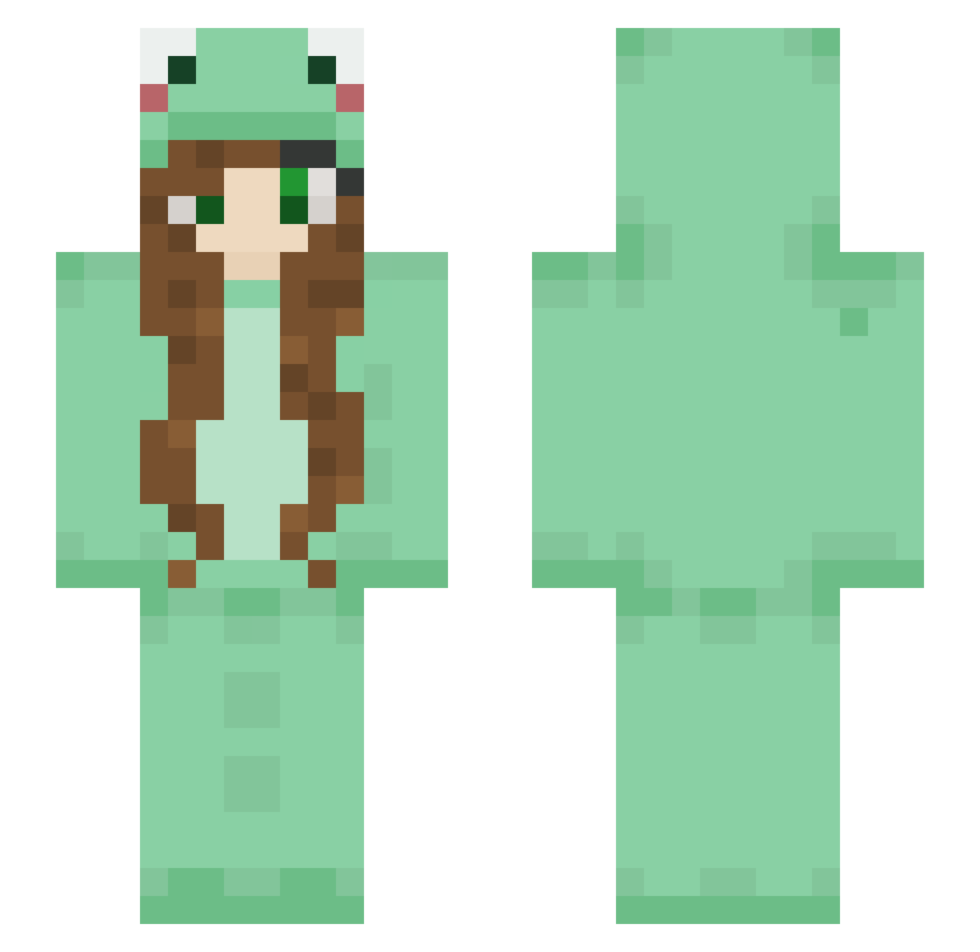 endernotused_ Minecraft skin, front and back view