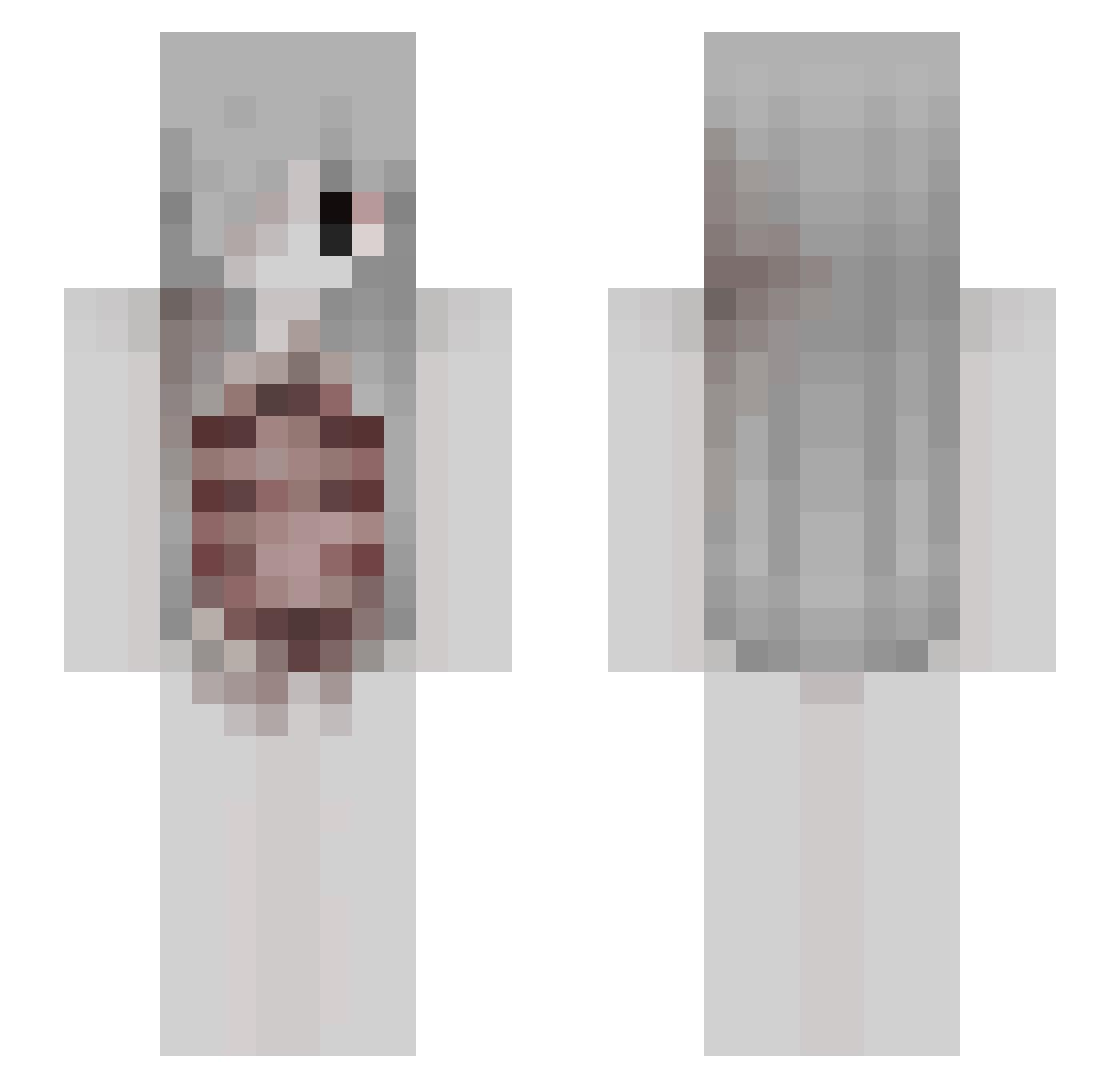 onlinecatgirls Minecraft skin, front and back view