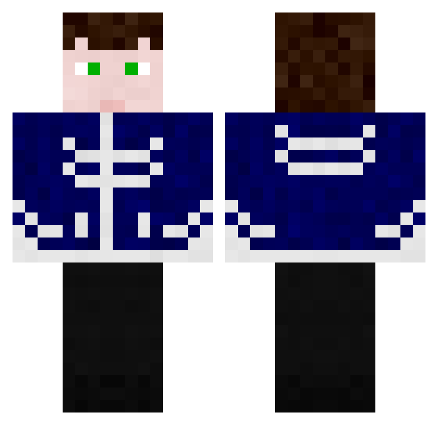 The2b2tHistorian Minecraft skin, front and back view
