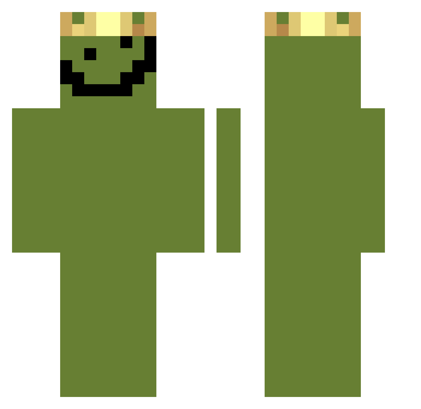 Dwnloaqd Minecraft skin, front and back view