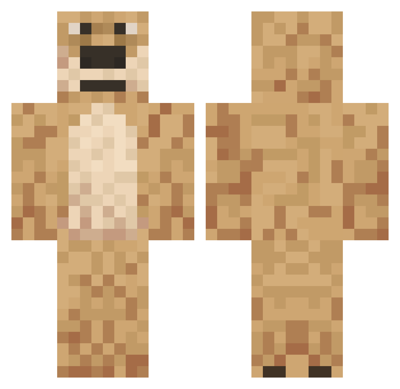 babciamarysia123 Minecraft skin, front and back view