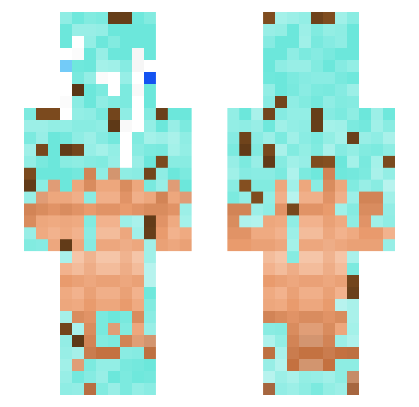 vaniella_ Minecraft skin, front and back view