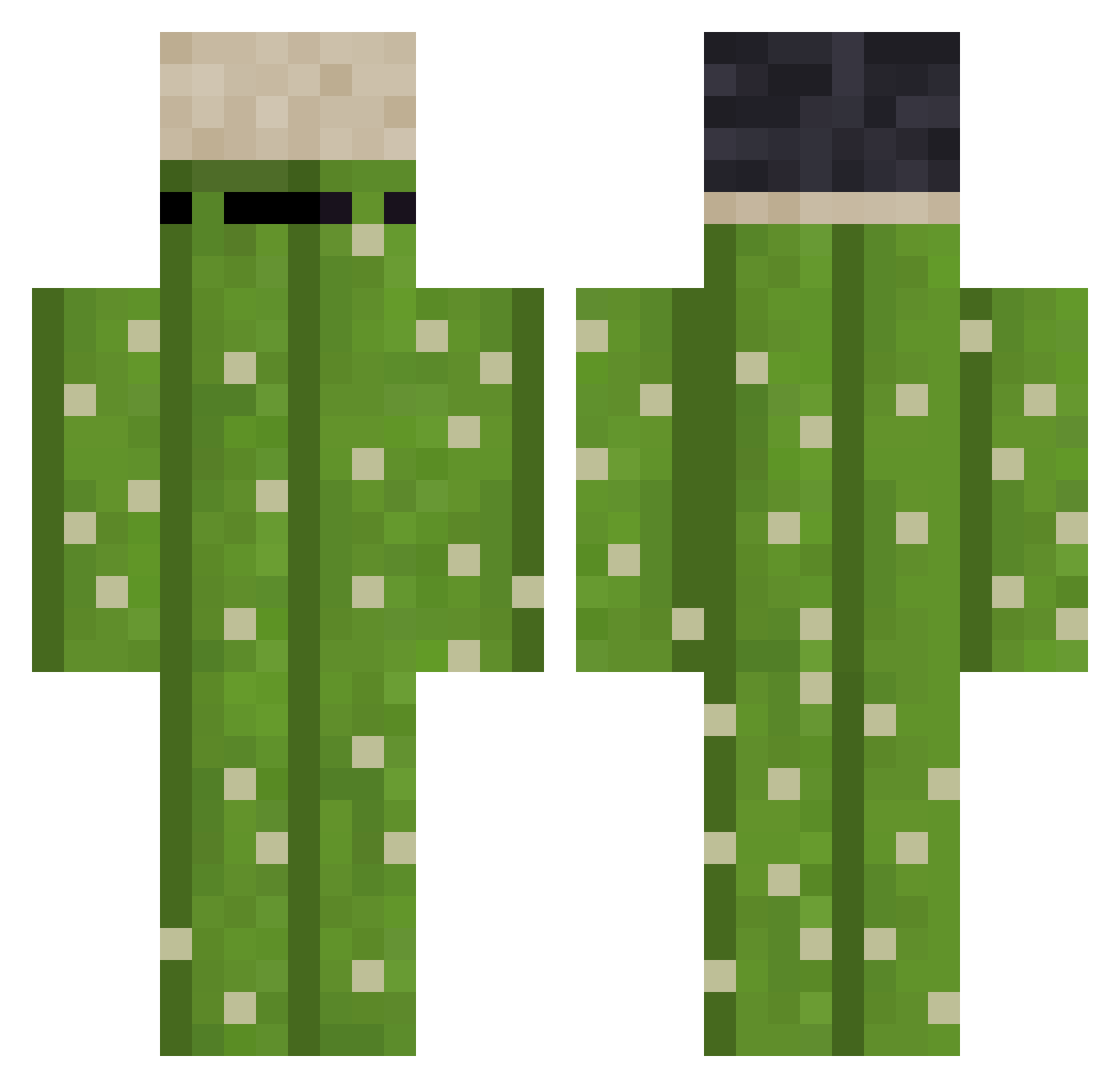 Mause779 Minecraft skin, front and back view
