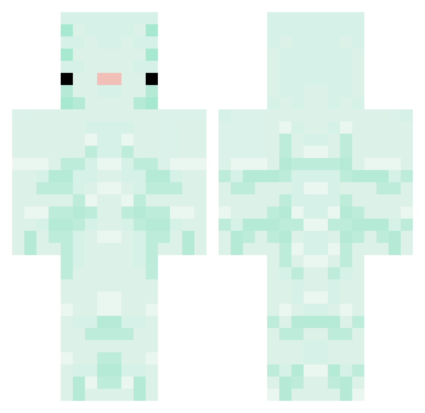 crotophaga Minecraft skin, front and back view