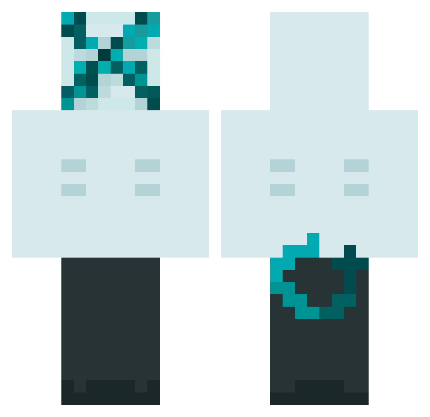 saluzar_ Minecraft skin, front and back view
