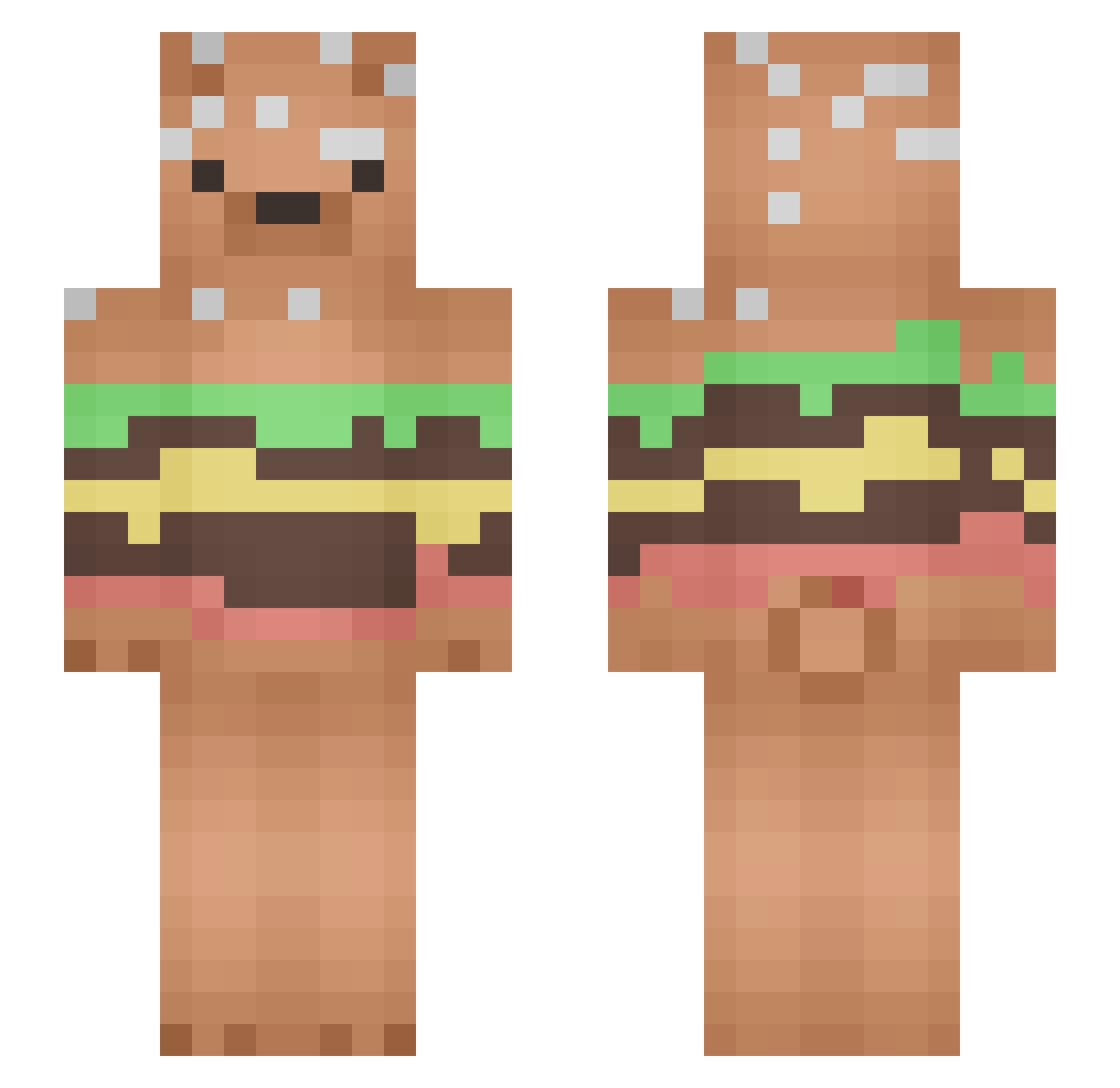Ophyr_ Minecraft skin, front and back view