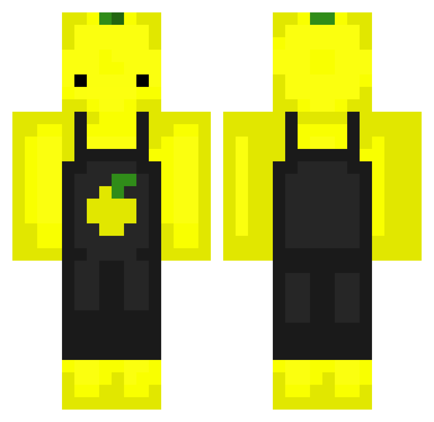 Rwss Minecraft skin, front and back view