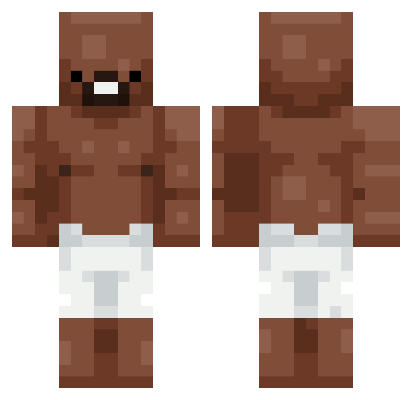 Illuaa Minecraft skin, front and back view