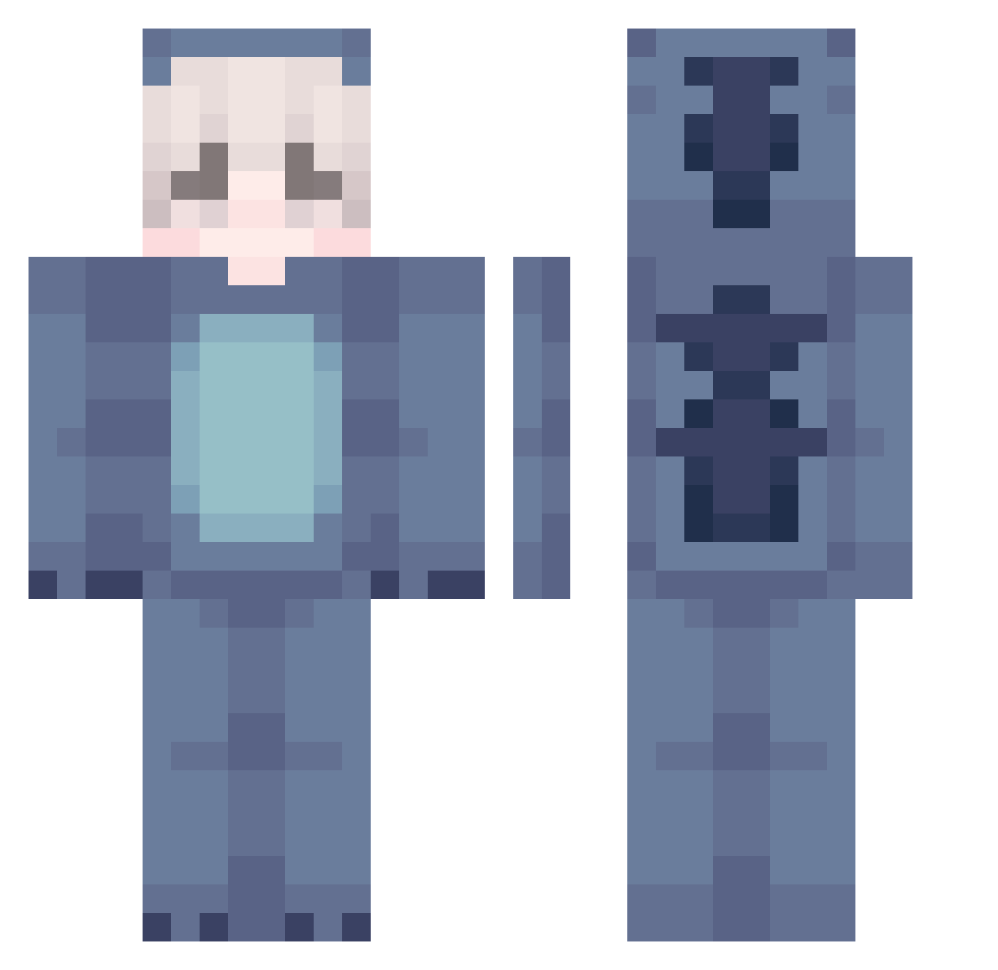 NiceTemmie Minecraft skin, front and back view
