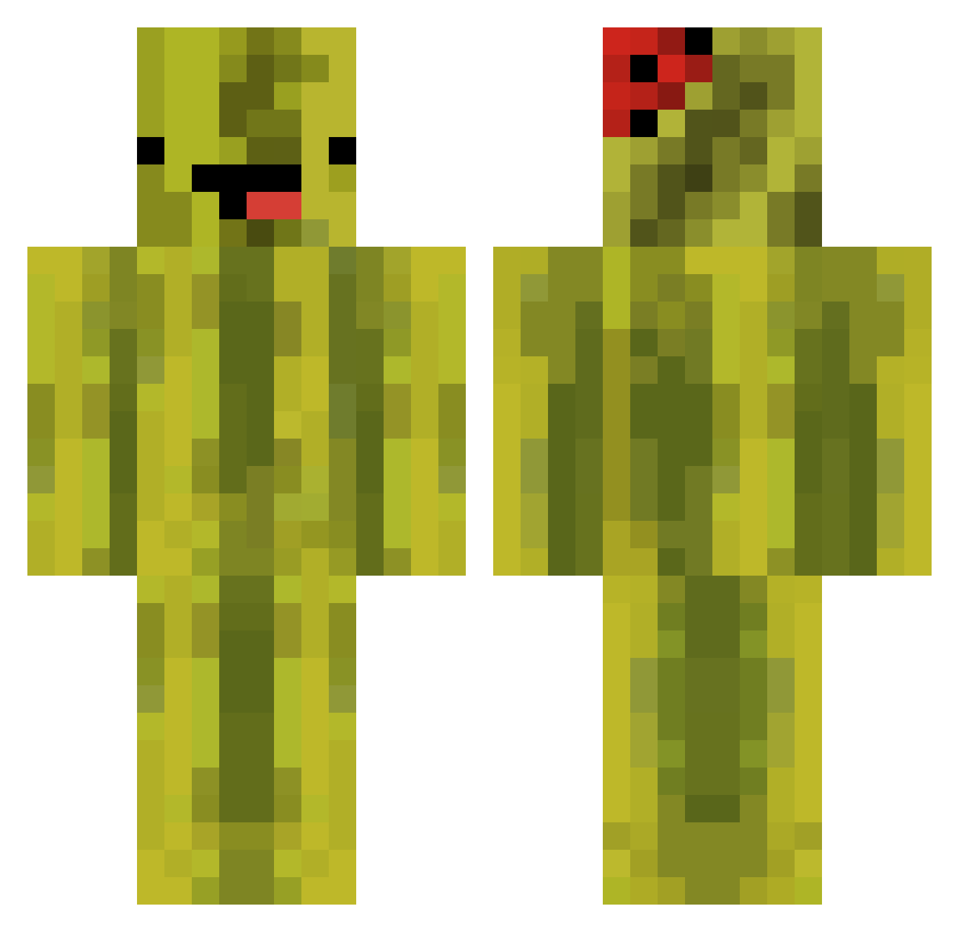 Nardezz Minecraft skin, front and back view