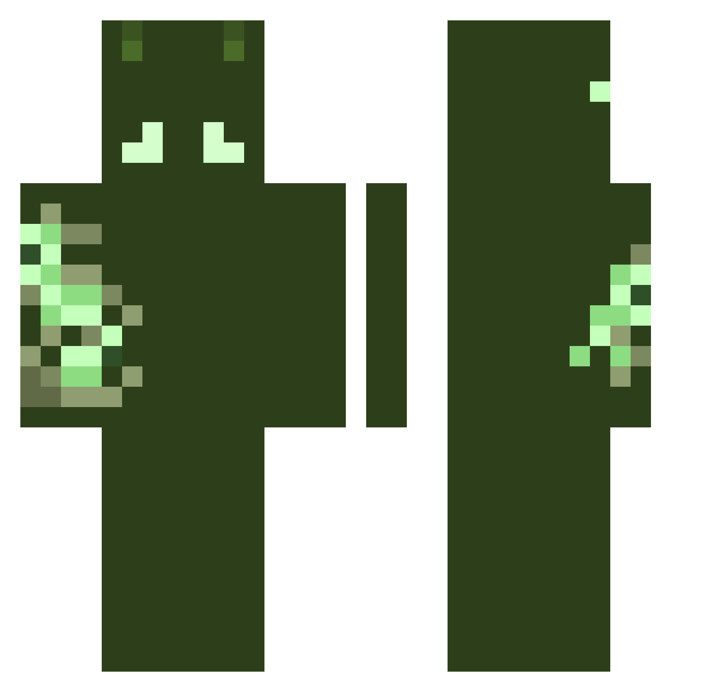 P2hz Minecraft skin, front and back view
