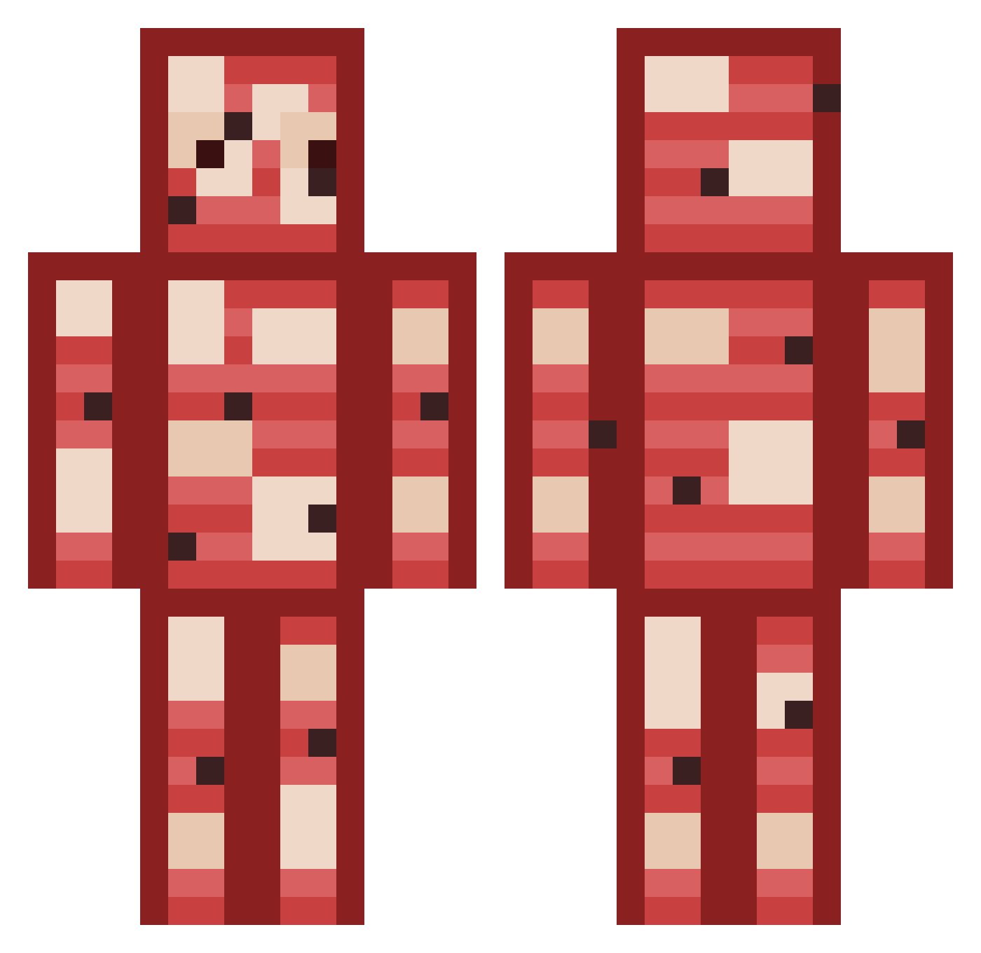 starksalami Minecraft skin, front and back view