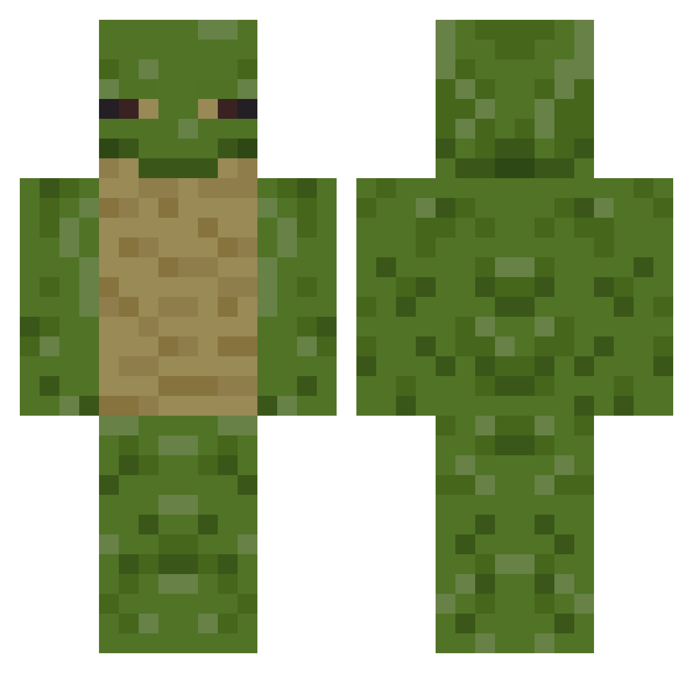 frogmiire Minecraft skin, front and back view