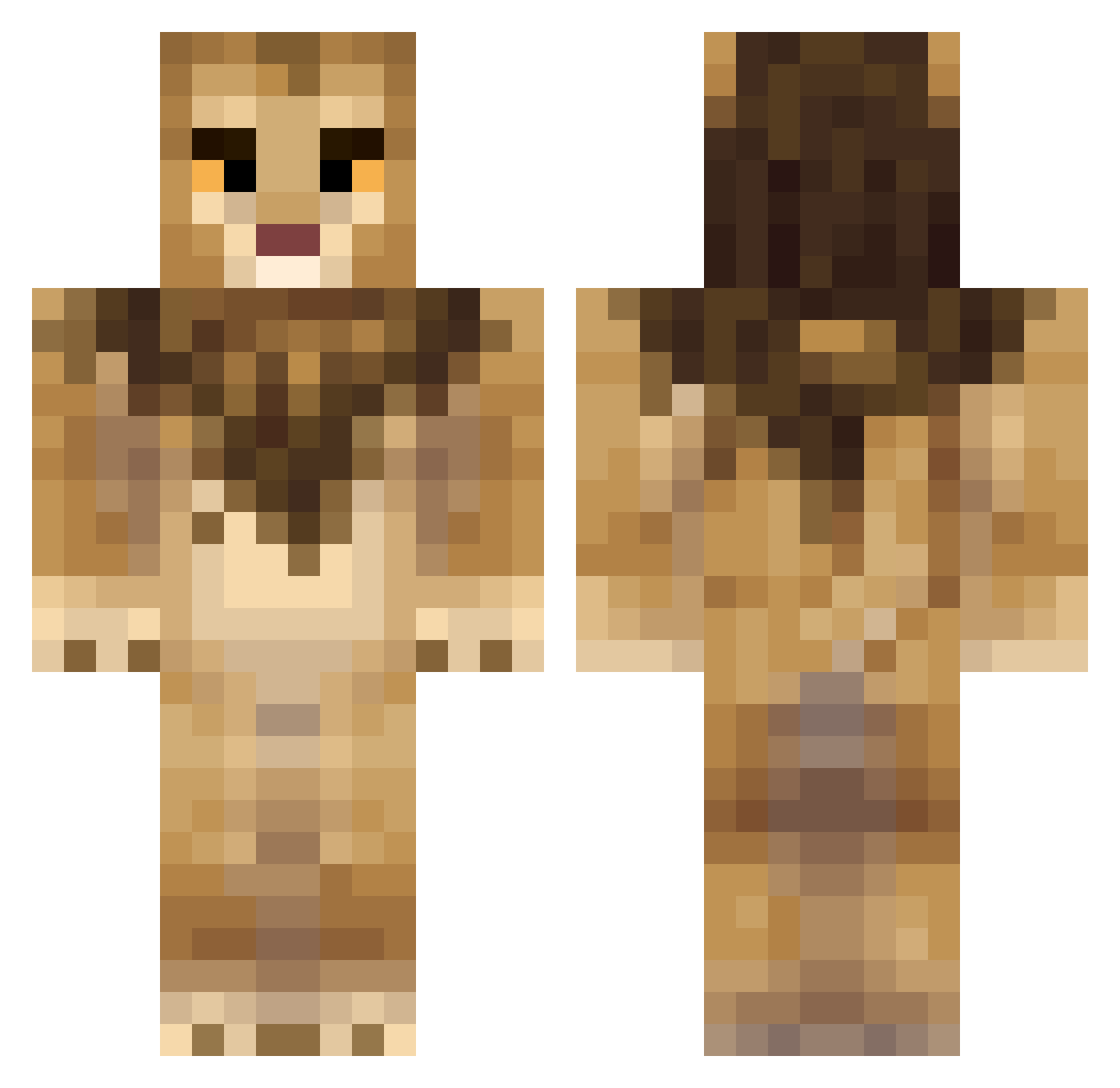 evarzion Minecraft skin, front and back view