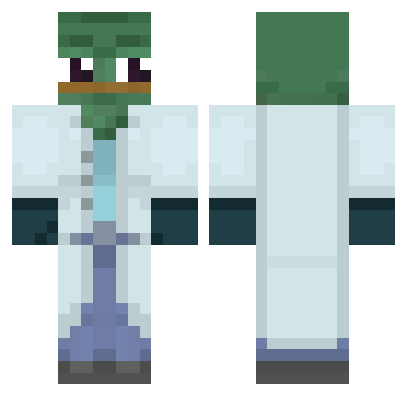 69Frelon Minecraft skin, front and back view