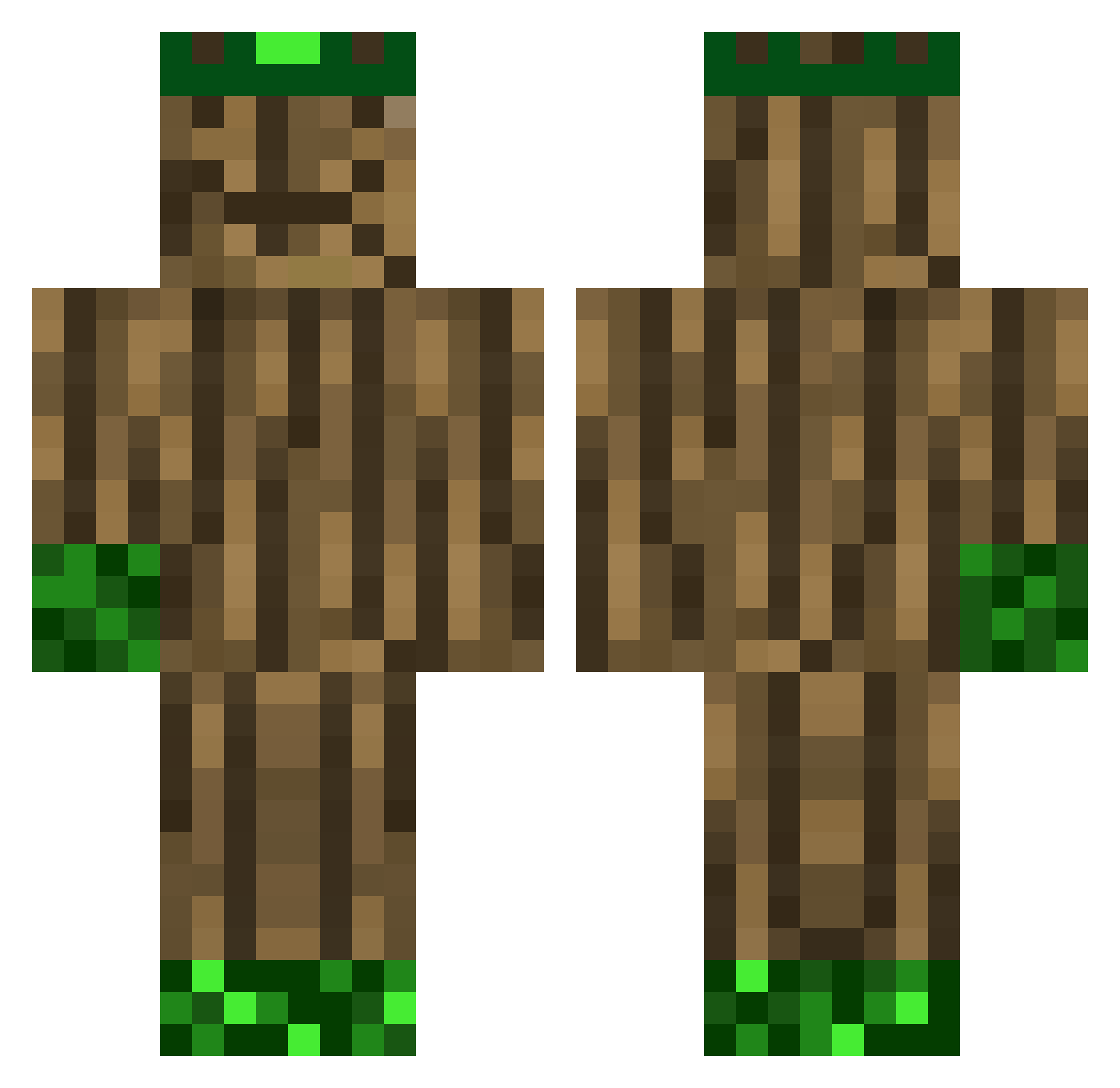 CotaTortuguita Minecraft skin, front and back view