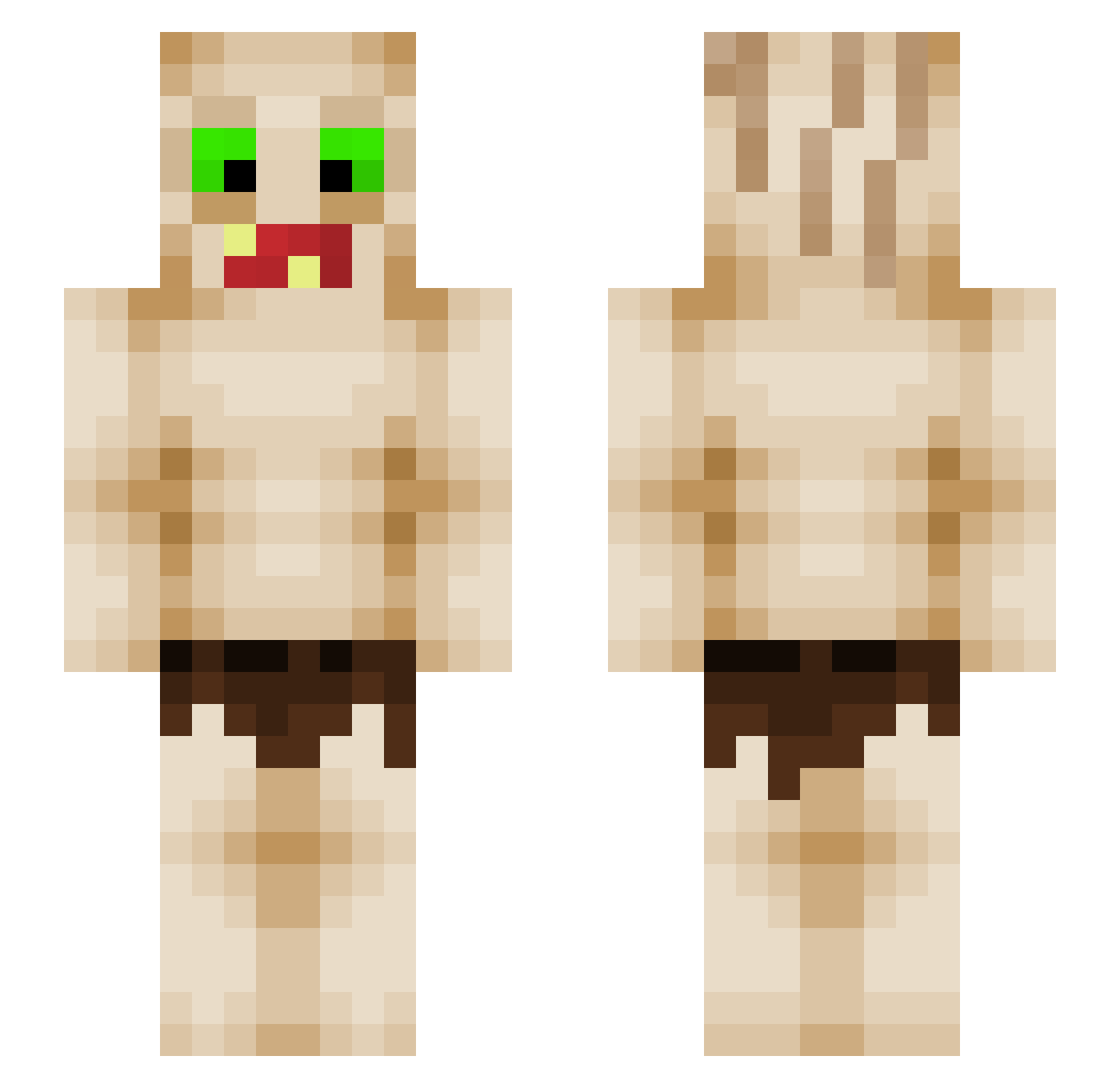 Laveche Minecraft skin, front and back view
