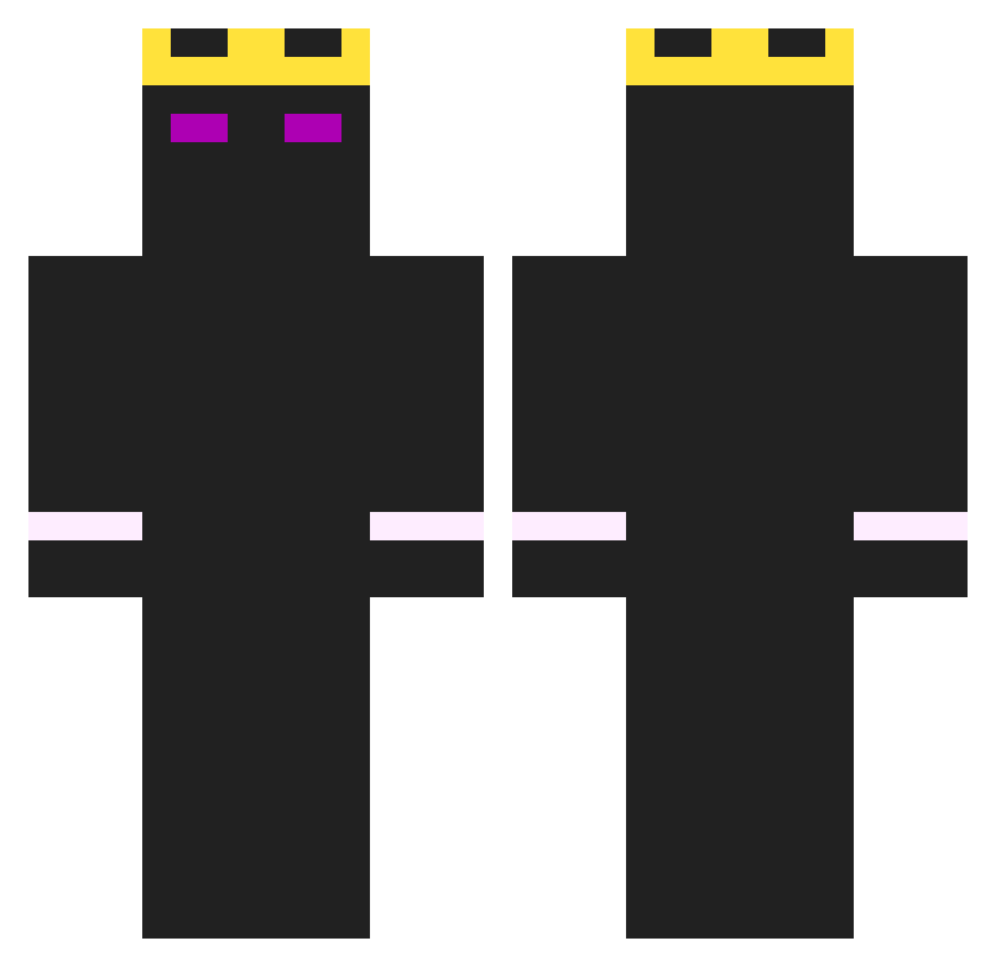 EnderMC55 Minecraft skin, front and back view