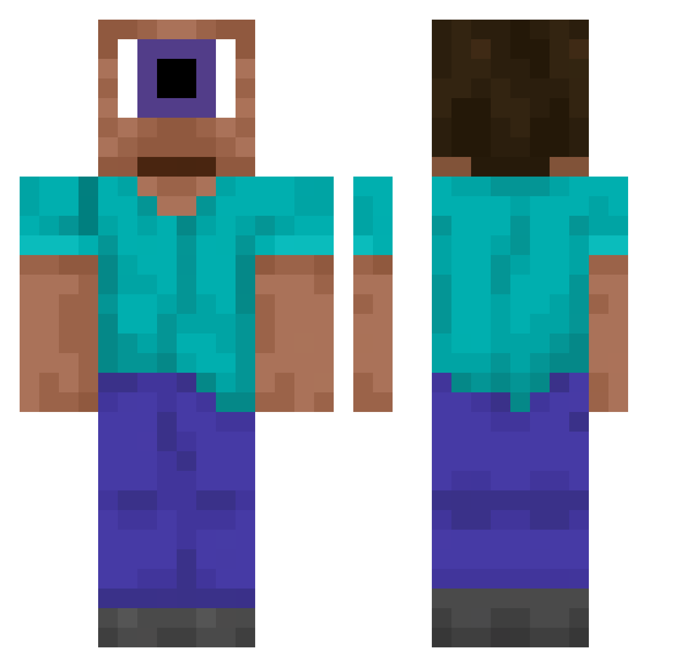 disclosurue Minecraft skin, front and back view
