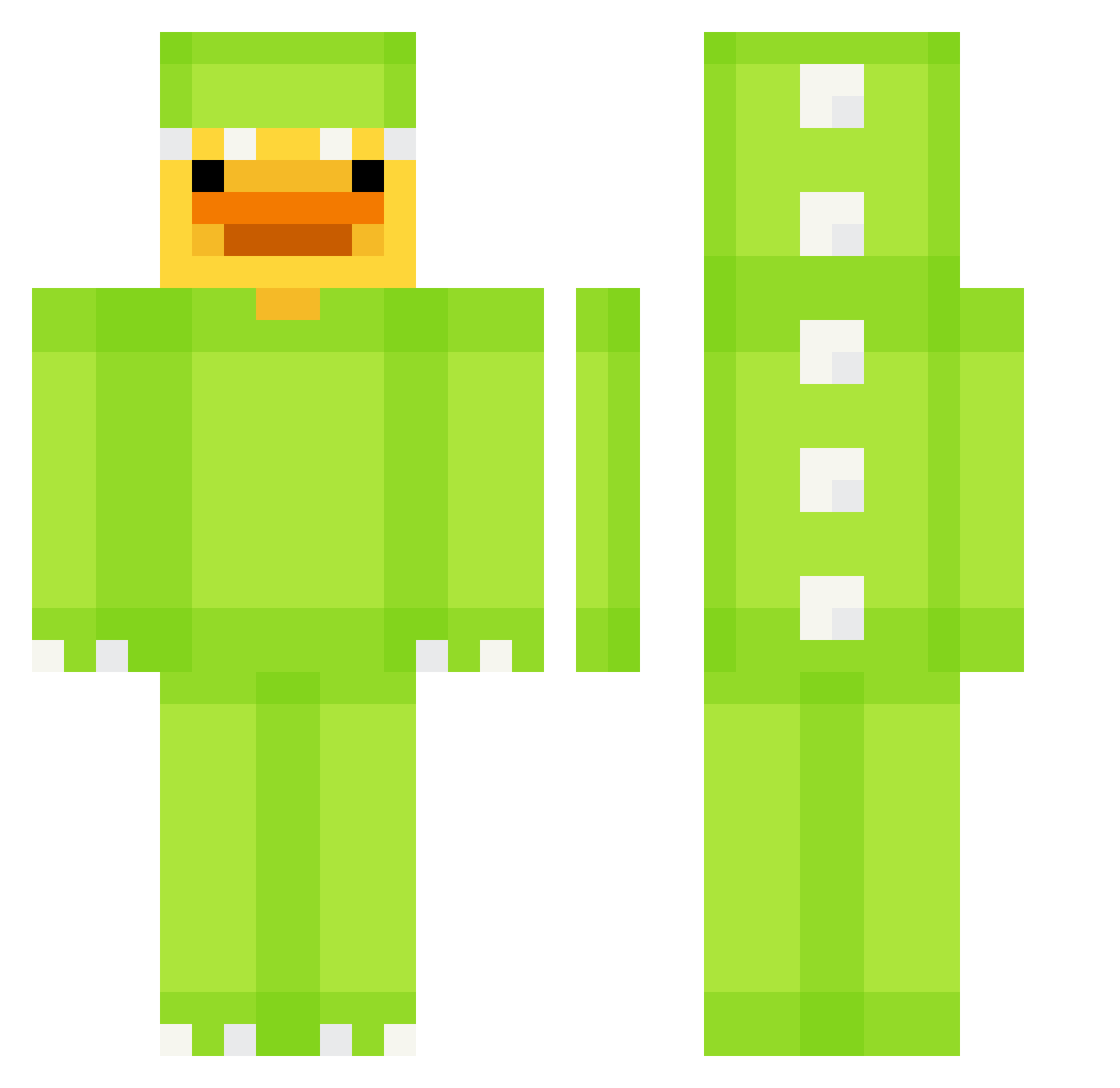 Ducky0101 Minecraft skin, front and back view