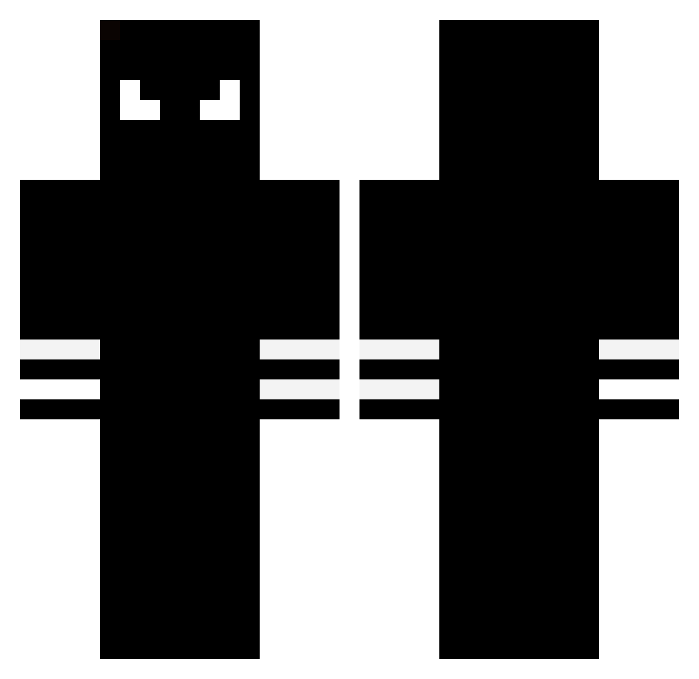Toay Minecraft skin, front and back view