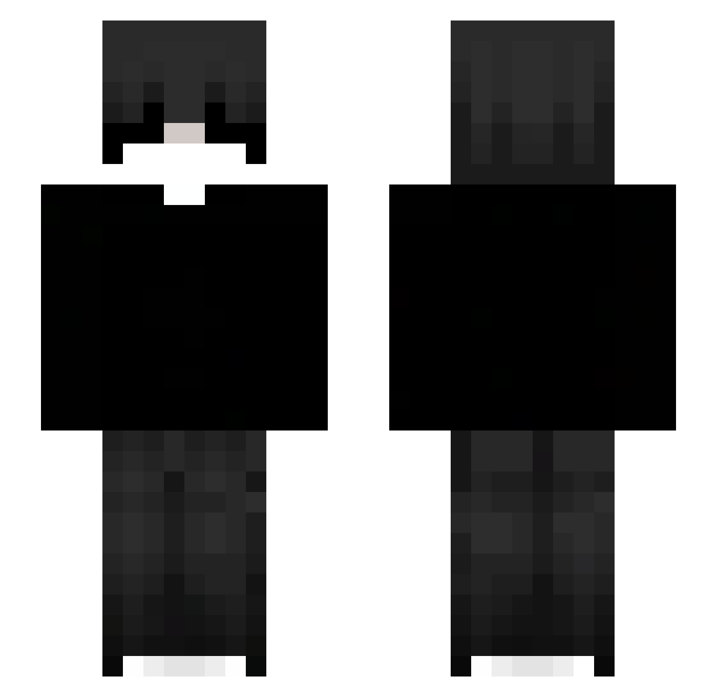 SomeOtherTurtle Minecraft skin, front and back view