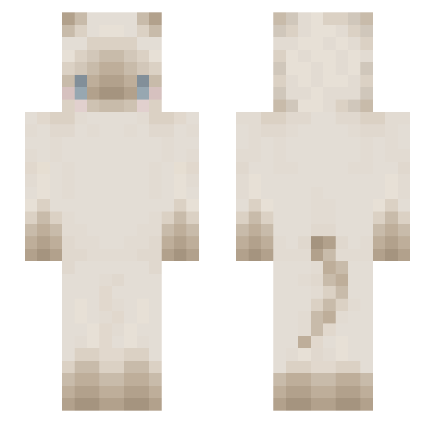 aricat13 Minecraft skin, front and back view
