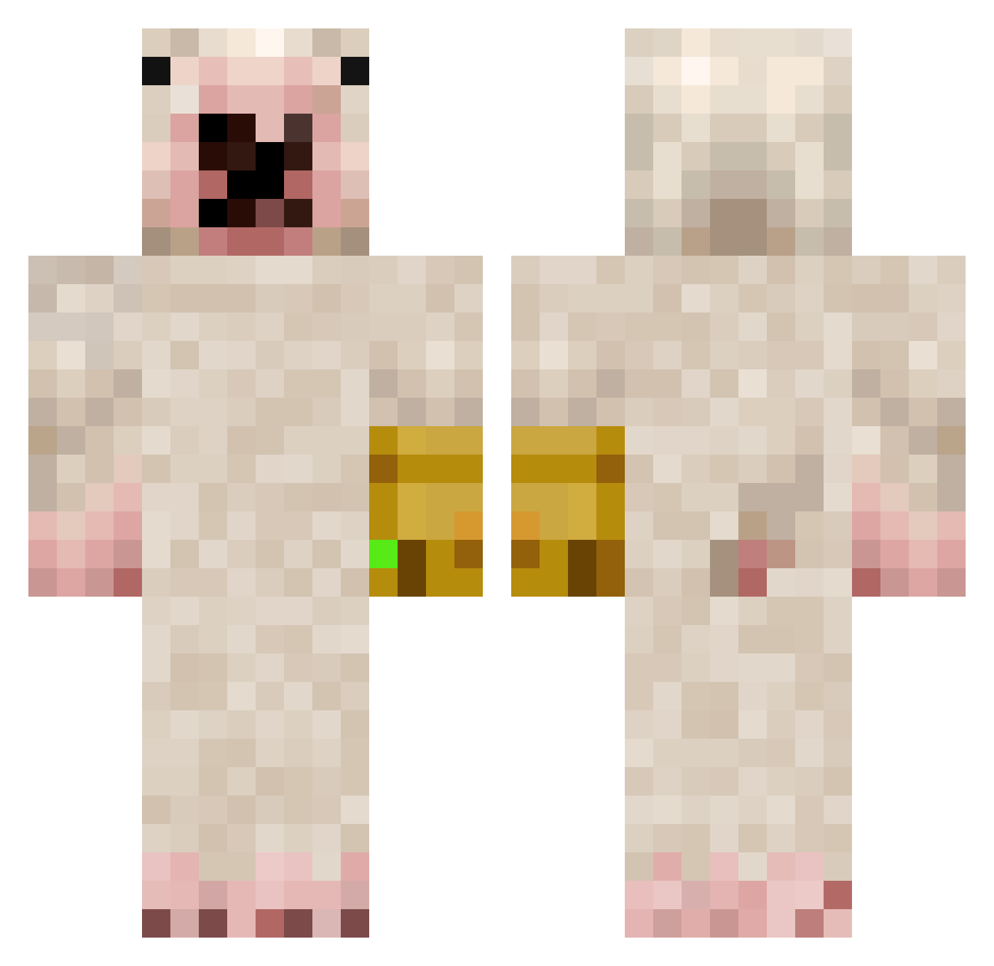 _NothingPlays_ Minecraft skin, front and back view