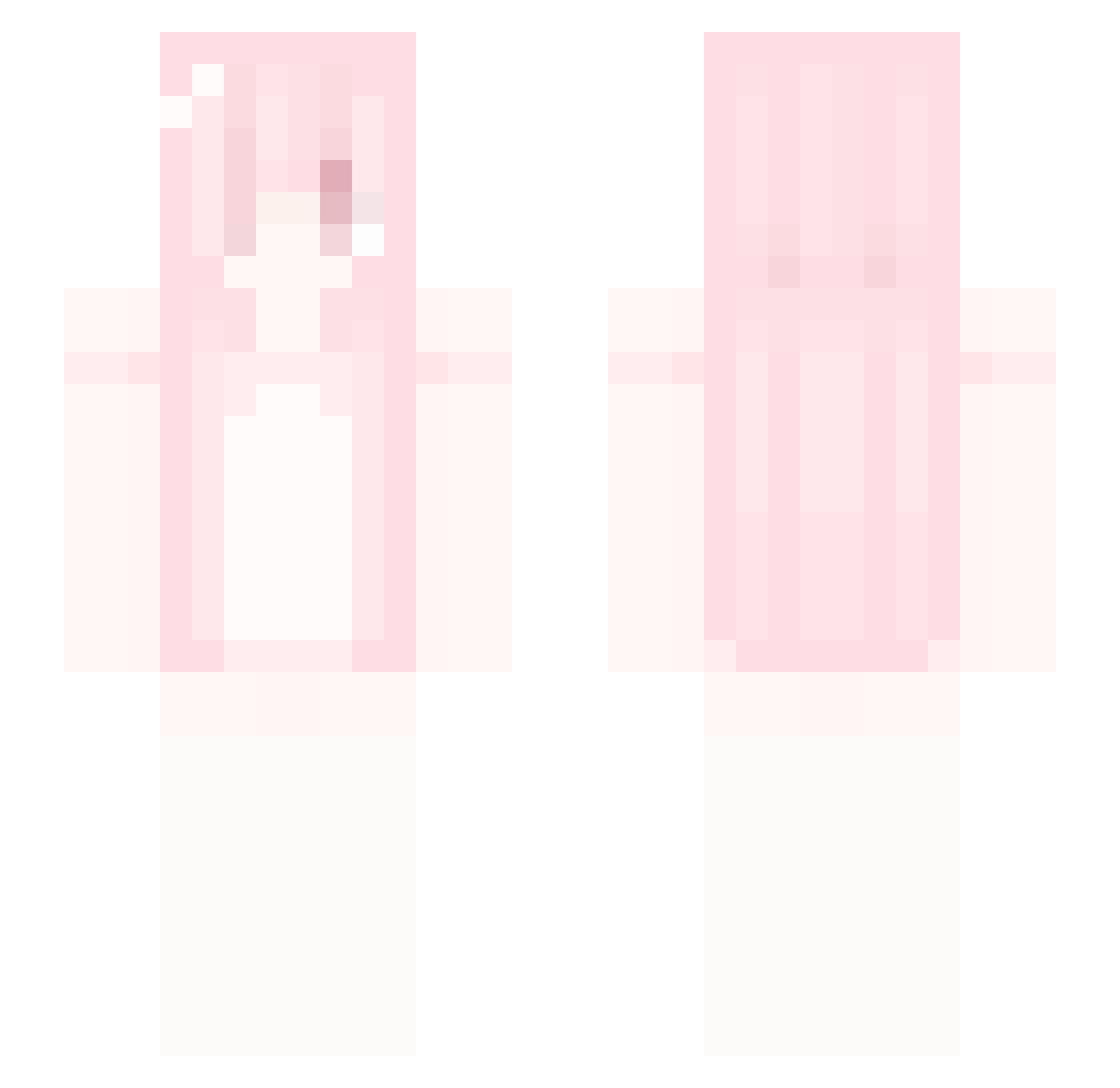 chobiscit Minecraft skin, front and back view