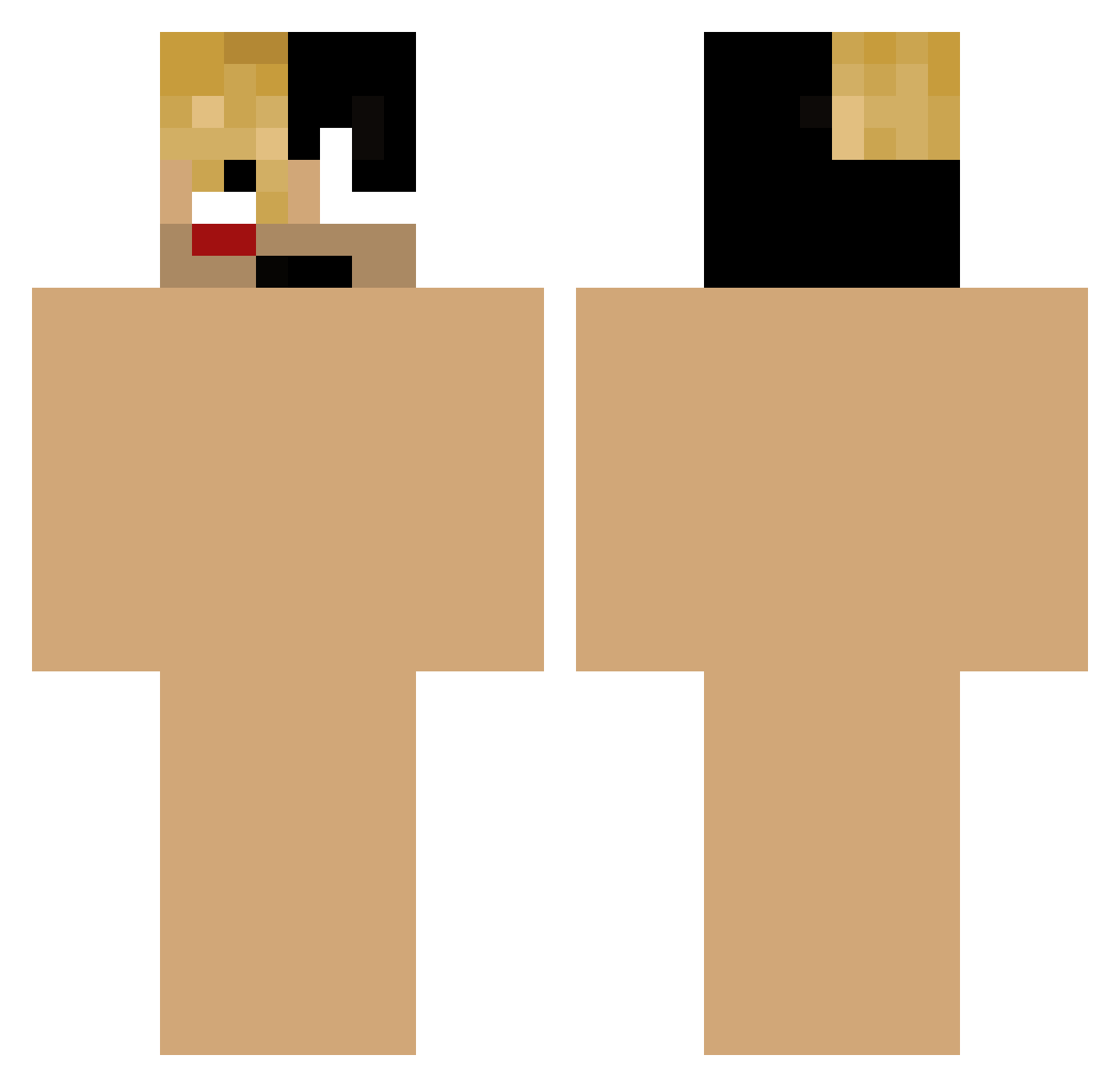 Vaskolgao Minecraft skin, front and back view