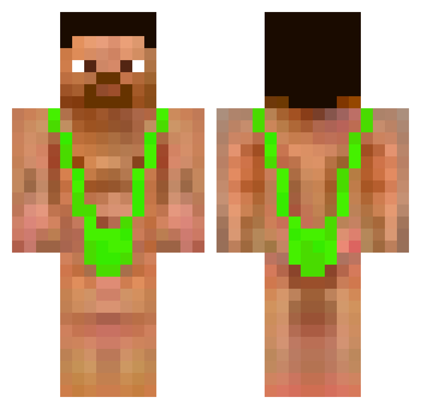 Bushbaby Minecraft skin, front and back view