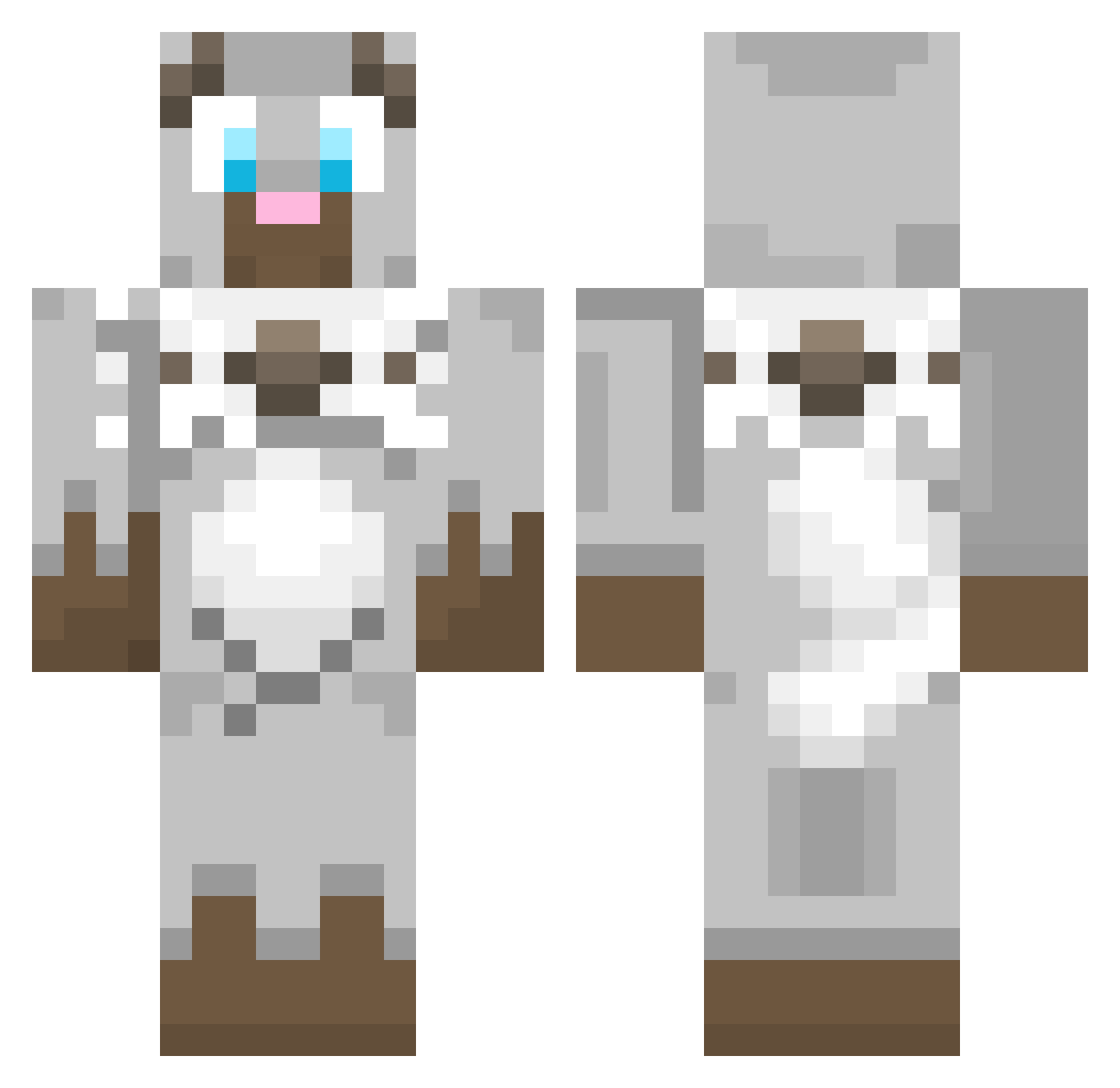 Squirtleboy2013 Minecraft skin, front and back view