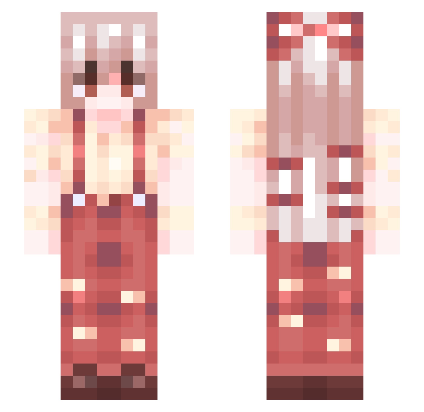 Brook Minecraft skin, front and back view