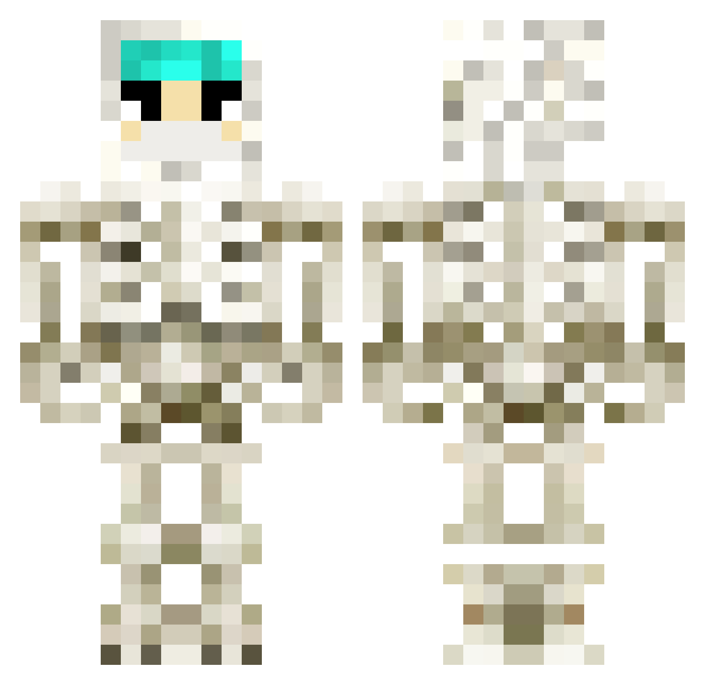 Diagnose Minecraft skin, front and back view
