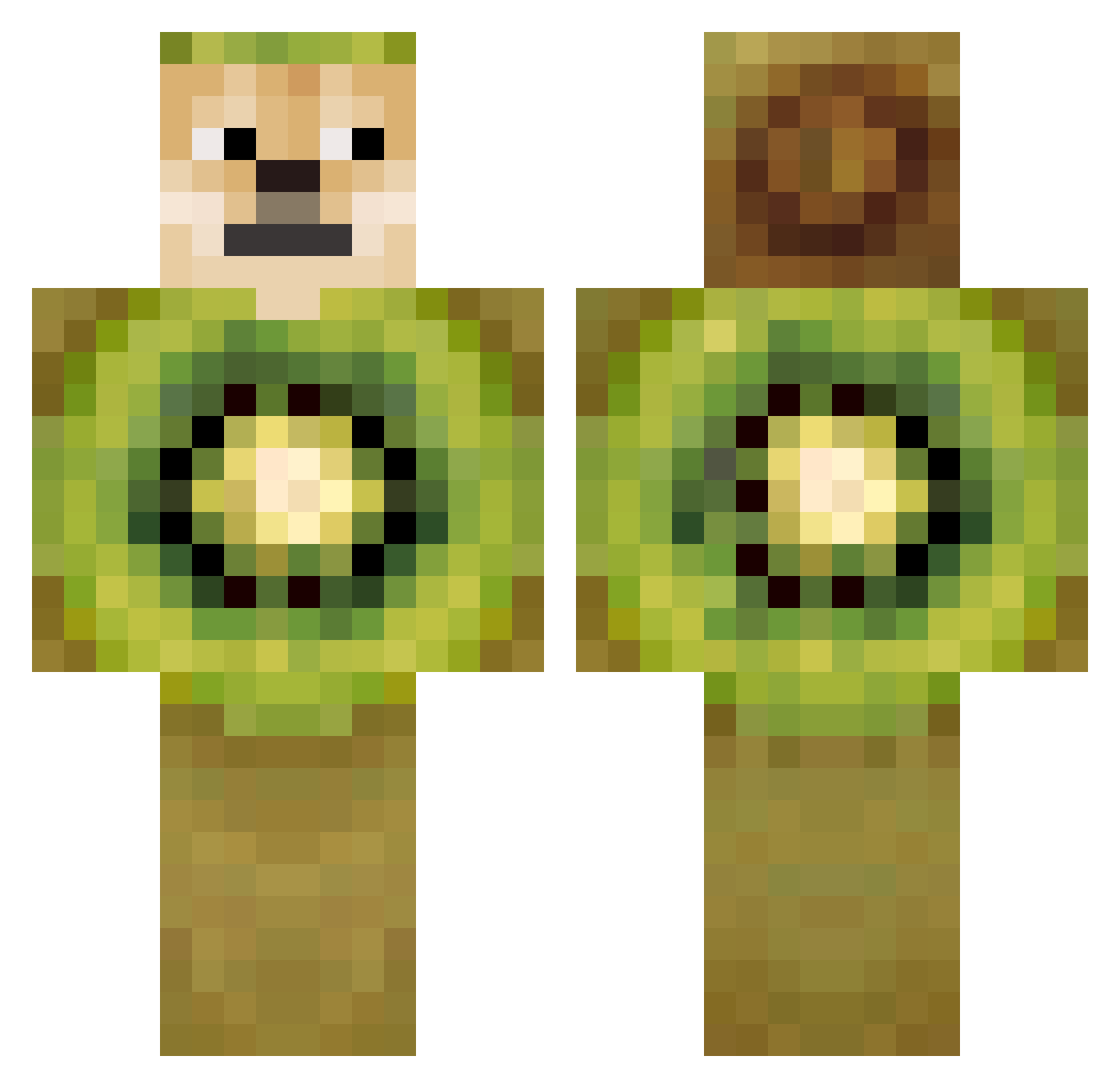 donghwan2005 Minecraft skin, front and back view