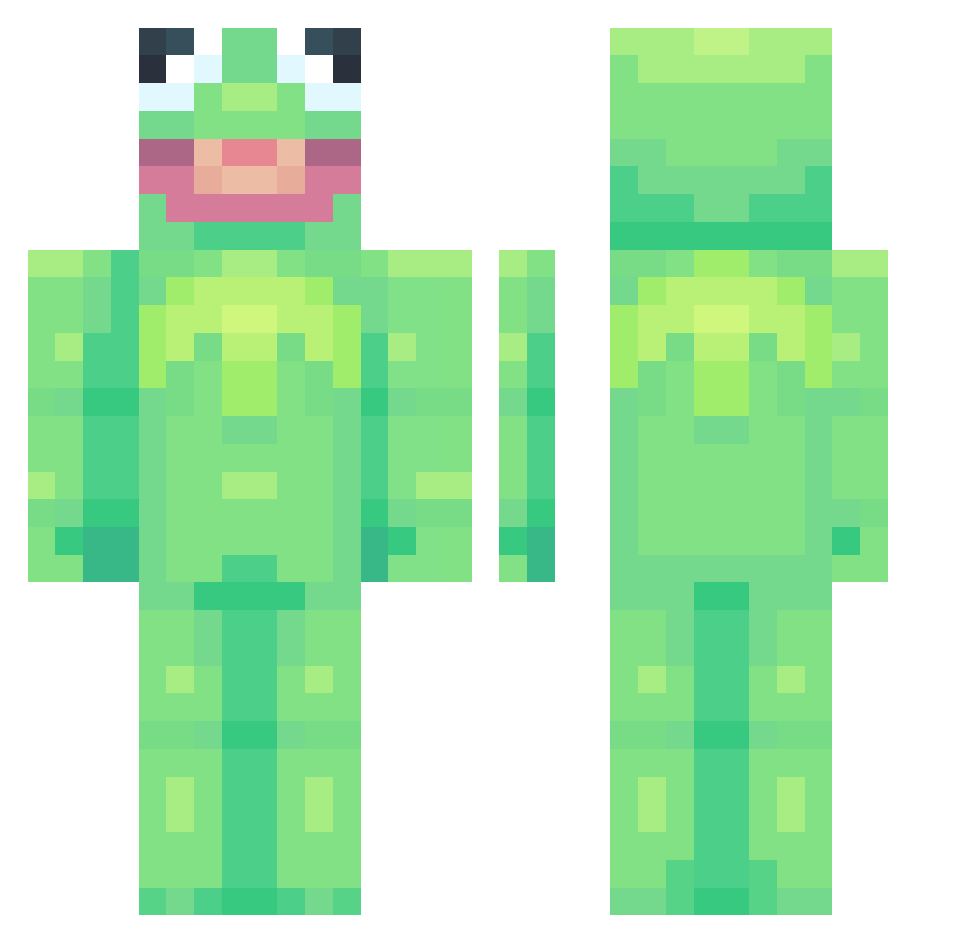 ZwiSchild Minecraft skin, front and back view
