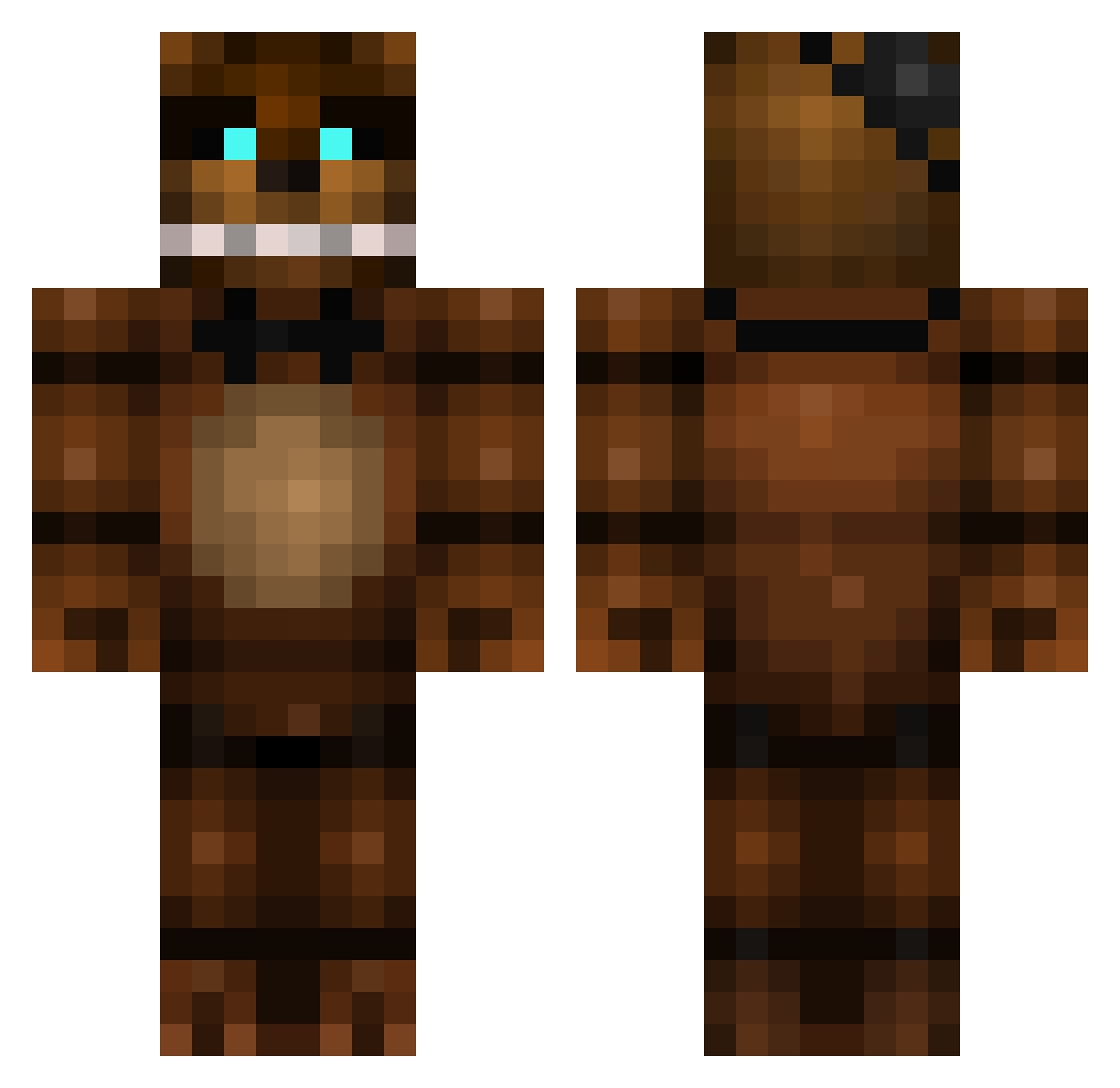 Shielding Minecraft skin, front and back view