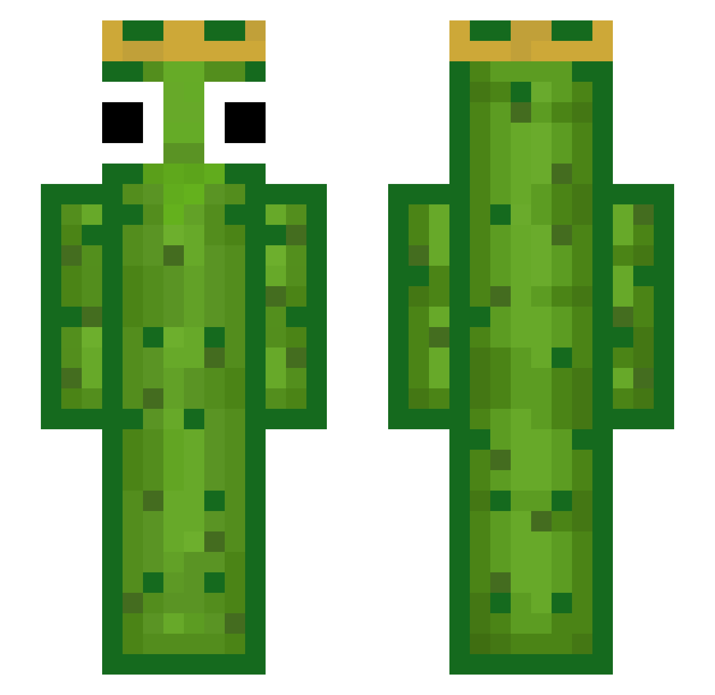 Dillpickle898 Minecraft skin, front and back view