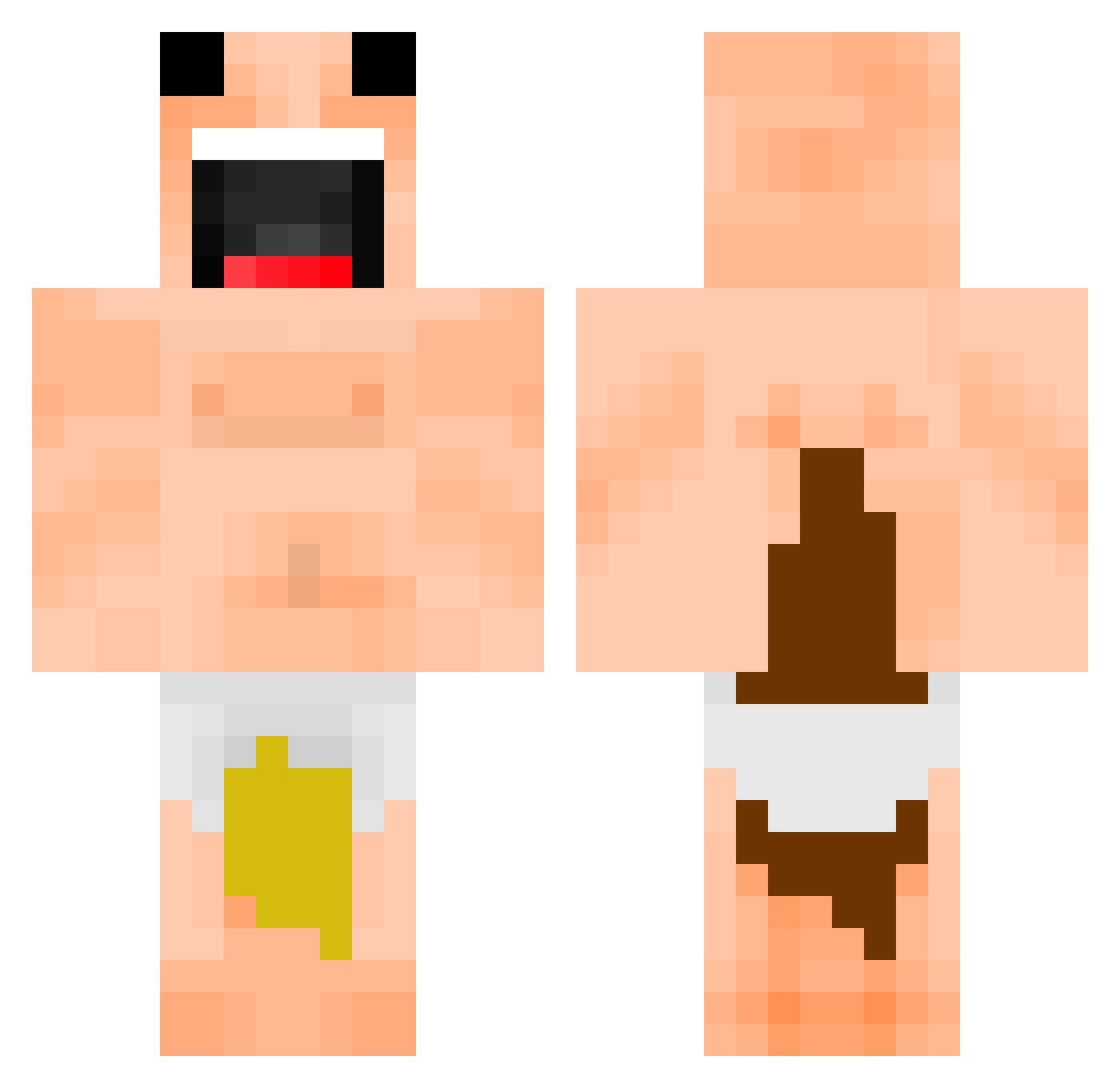 StupidDummy Minecraft skin, front and back view