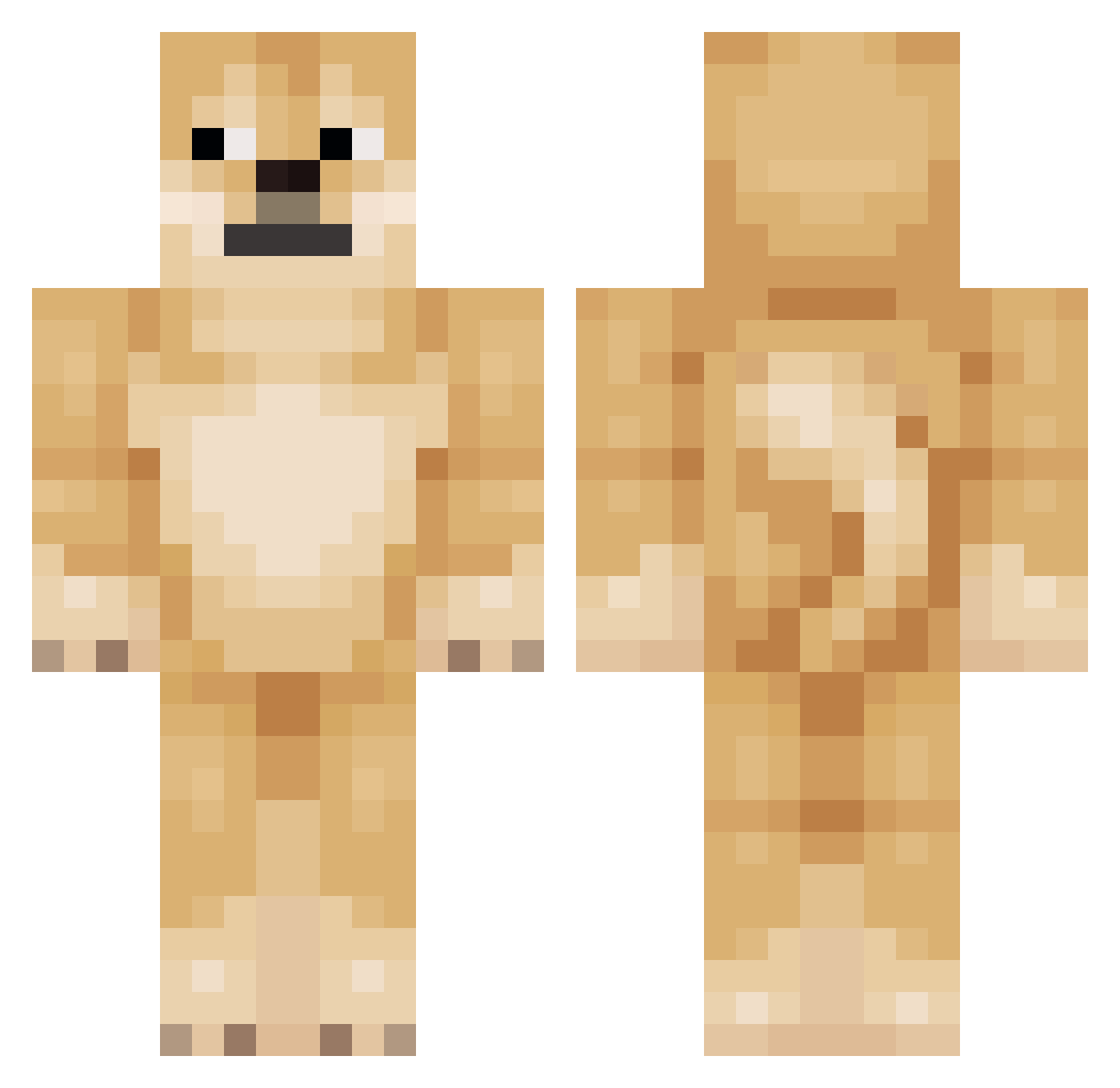 TeraRosa54 Minecraft skin, front and back view