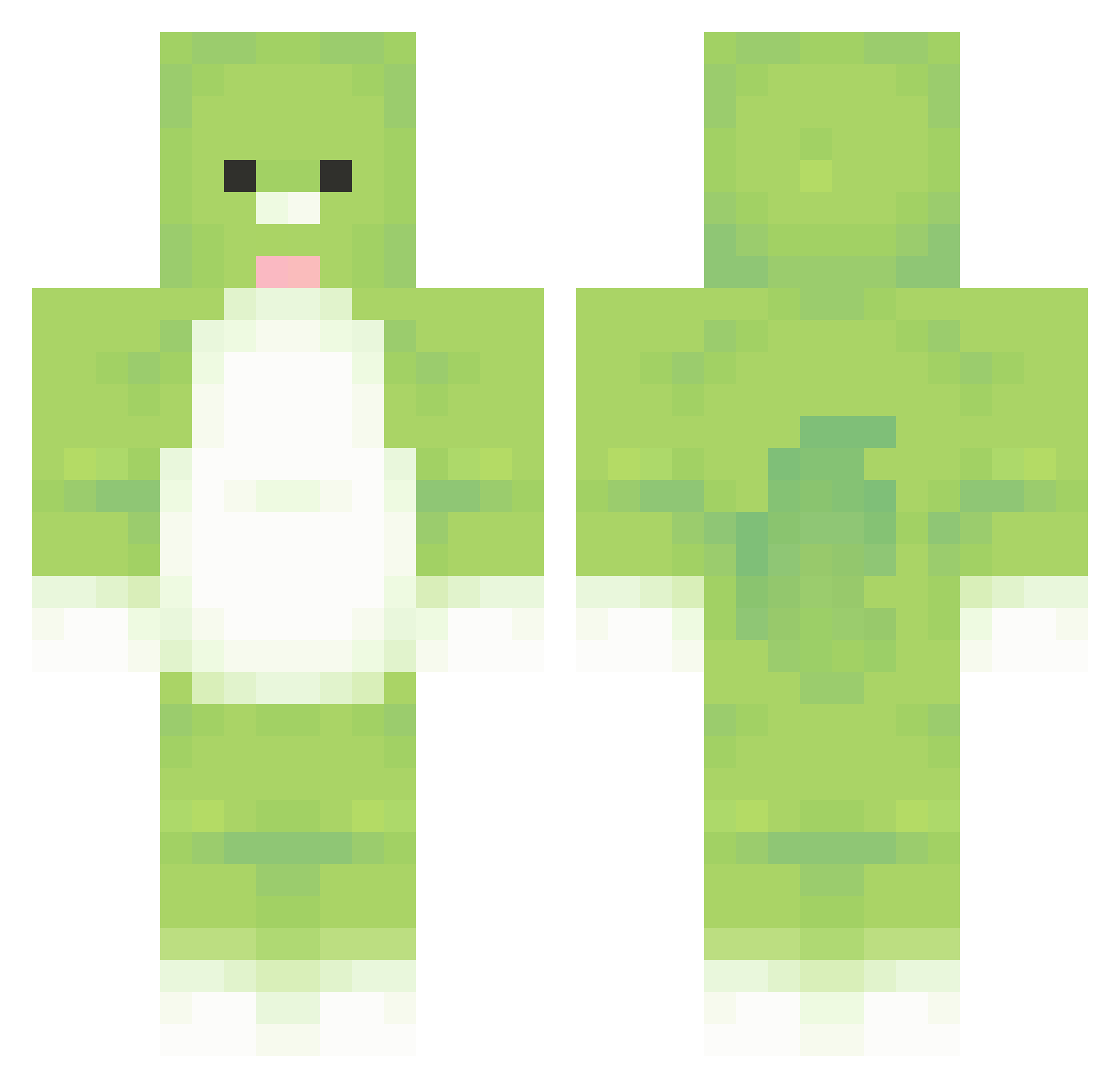 coehddnjs Minecraft skin, front and back view