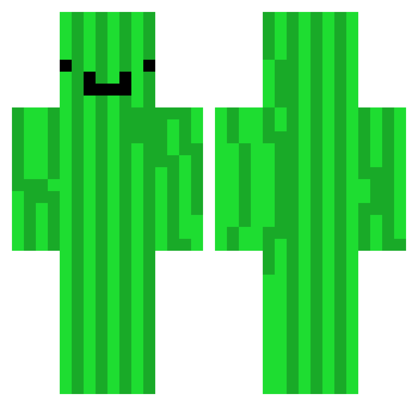RatSkinny Minecraft skin, front and back view