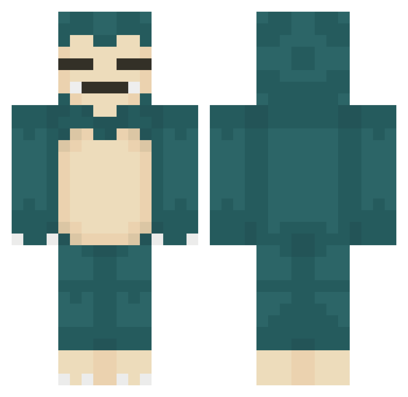 Scute Minecraft skin, front and back view